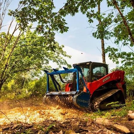 Trail Clearing